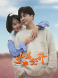 火荔全开海报